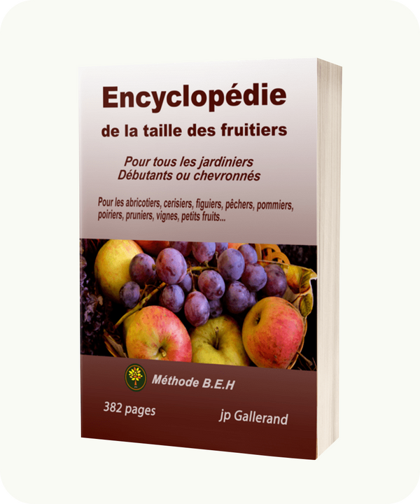 Encyclopédie de la taille des arbres fruitiers